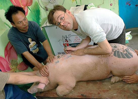 101 Tattooed Pigs