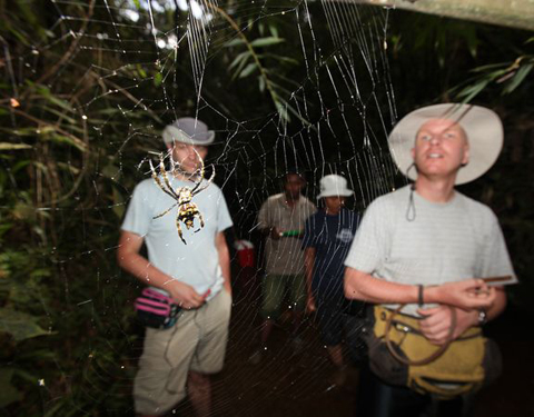 6 The Biggest Spyder Web In The World