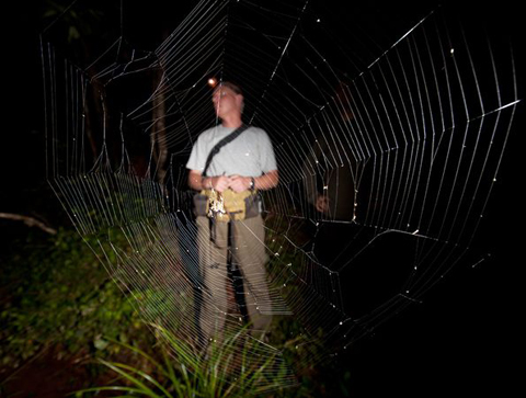 7 The Biggest Spyder Web In The World