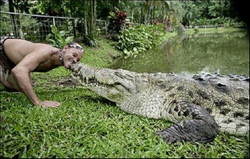 crocodilie pet 8 Friendship Between Crocodile And A Man
