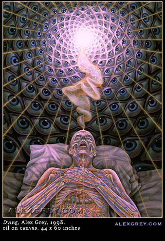 dying Psychedelic Art Of Alex Grey