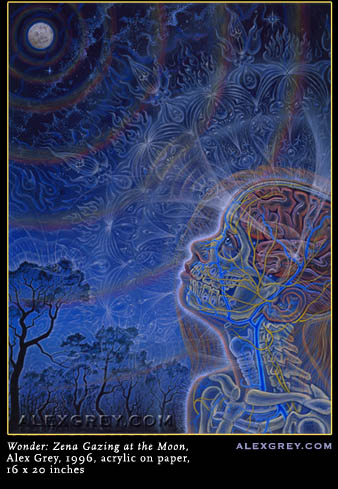wonder Psychedelic Art Of Alex Grey